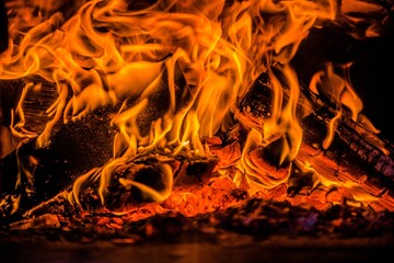 A few birch logs burning in the fireplace
