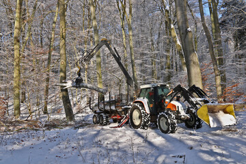 Rückezug mit Ladekran beim Beladen des Rückeanhängers mit Stammholz © ReNi