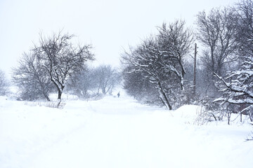 Fototapeta na wymiar Snowy nature in the morning,winter
