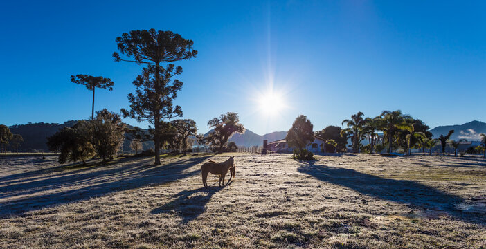 Amanhecer com geada na &aacute;rea rural