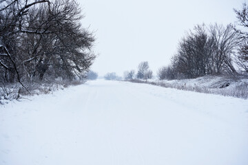 Snowy nature in the morning,winter