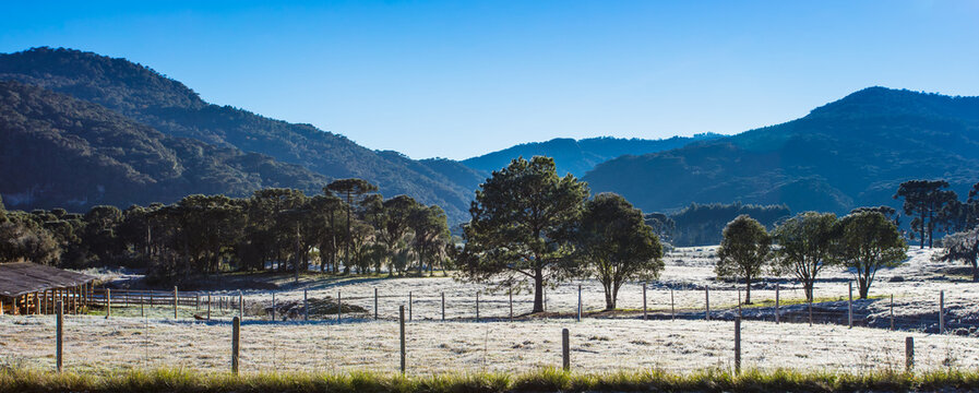 &Aacute;rea rural pela manh&atilde; com geada no campo