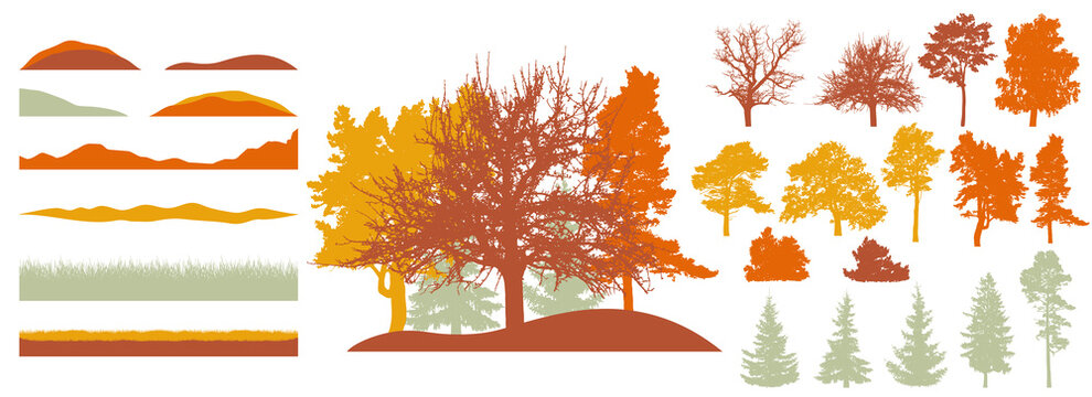 Forest, constructor kit. Silhouettes of beautiful bare trees, fir trees, grass, hill. Collection of element for create beautiful autumn forest or park, woodland, landscape. Vector illustration.