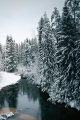Taevaskoda and its nature in Estonian winter
