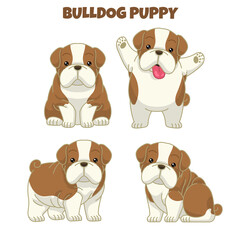 set cute bulldog puppy