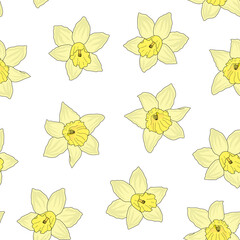 Seamless pattern of yellow narcissus on a white background. Hand drawing. Vector illustration.