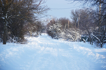 Snowy nature in the morning,winter