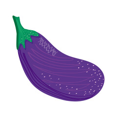 eggplant vegetables healthy food icon