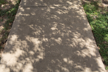 Shadow of solar eclipse on the sidewalk through tree leaves and branches.