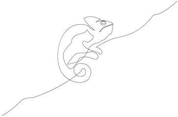 One line drawing of chameleon. Continuous line illustration on white background.