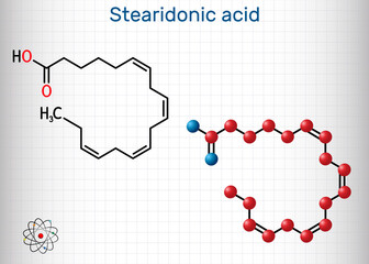 Stearidonic acid, moroctic acid, SDA molecule. It is an omega-3, fatty, octadecatetraenoic acid. Structural chemical formula and molecule model. Sheet of paper in a cage
