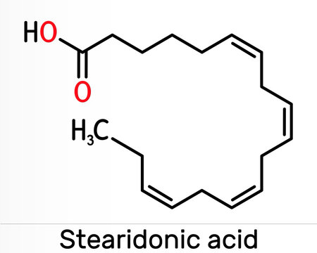 Stearidonic acid, moroctic acid, SDA molecule. It is an omega-3, fatty, octadecatetraenoic acid. Skeletal chemical formula
