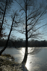 winterfeeling 