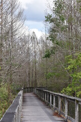 Along the Bridge