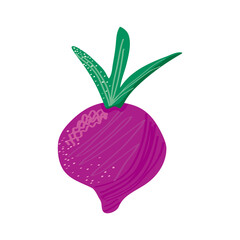 beet vegetable healthy food icon