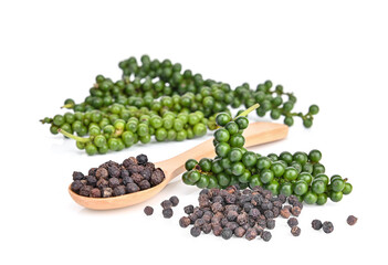 Fresh peppercorns with white background