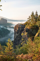 Elbsandsteingebirge Sonnenaufgang Sommer Berge Wald Landschaft Sächsische Schweiz