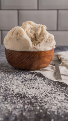 coco ice cream gray background ready to eat