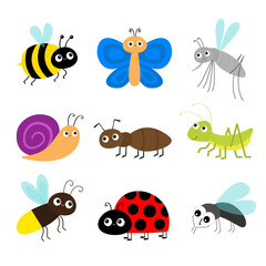 Obraz premium Grasshopper, fly, firefly, ant, mosquito, bee bumblebee, butterfly, snail cochlea, lady bug ladybird flying insect icon set. Ladybug. Cute cartoon kawaii character. Flat design. White background