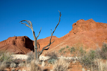 Steinw&uuml;ste mit vertrockneten Baum