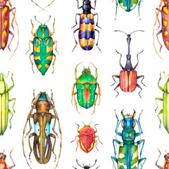 Watercolor seamless pattern with colorful beetles on white background. Hand painted insect illustration isolated on white background. 
