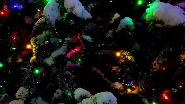 colored and christmas garlands glow with bright colors and on the christmas tree with snow covered branches at night in the park