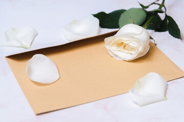 the rose lies on a paper envelope as a background. valentine's day celebration and eighth march concept