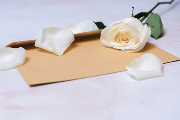 Fototapeta na wymiar the rose lies on a paper envelope as a background. valentine's day celebration and eighth march concept