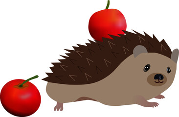 vector image of a cartoon hedgehog with apples. It can be used for printed products, or for textiles, children's clothing