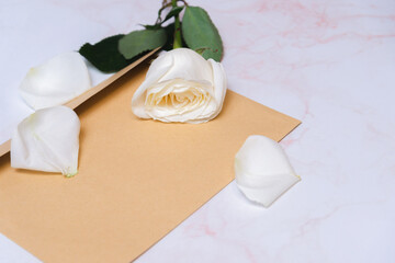 the rose lies on a paper envelope as a background. valentine's day celebration and eighth march concept