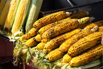 Bunch of grilled corn on the counter of street food cart