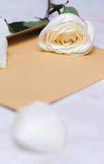 the rose lies on a paper envelope as a background. valentine's day celebration and eighth march concept