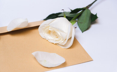 the rose lies on a paper envelope as a background. valentine's day celebration and eighth march concept