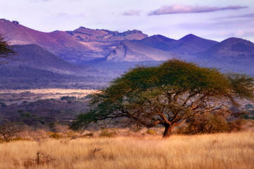 Sunset landscape of Chyulu Hills in Kenya