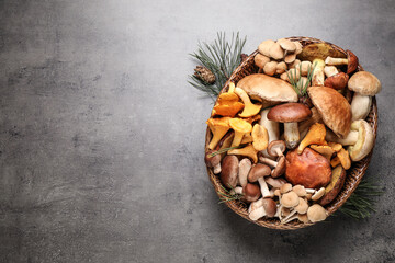 Different fresh wild mushrooms on grey table, flat lay. Space for text