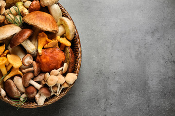 Different fresh wild mushrooms on grey table, top view. Space for text