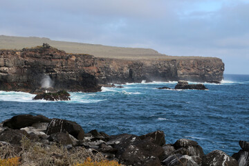 Fototapeta na wymiar Punta Suarez coast, landscape on the island of Espanola, Galapagos Islands, Ecuador