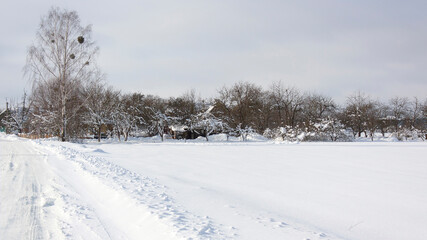 Fototapeta na wymiar Suburbs of Grodno. Belarus. Winter landscape outside the city. Snowy field and village houses surrounded by a garden after a heavy snowfall.