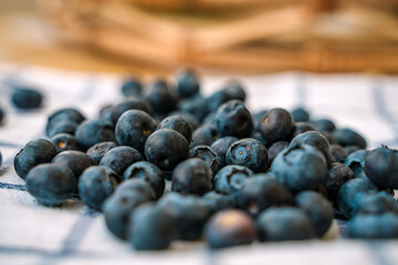 Blueberries are scattered on a white towel