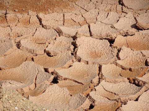 Mudlands that previously contained water have cracked due to hot weather and drought. All water content has been evaporated by the heat