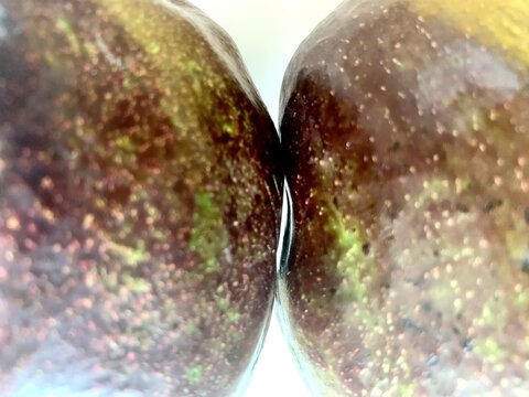 Two avocados close up view with white background