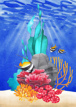 5 596 Best Coral Reef Watercolor Images Stock Photos Vectors Adobe Stock
