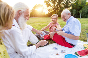 Group of seniors making a picnic at the park and having fun