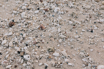 Beautiful beach is dotted with colorful and textured stones and shells. Exotic island.