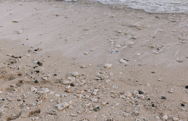 Texture of colored small stones, seashells and  sand. White and brown stones different sizes, small and big. 