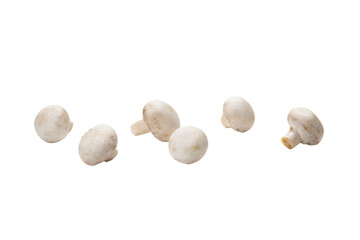 Champignon mushroom isolated on white background.