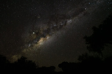 Night sky with Milkyway galaxy over trees silhouettes as seen from Anakao, Madagascar, bright Jupiter visible near Ophiuchus constellation
