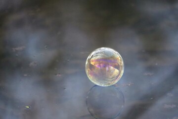 Bulle de savon