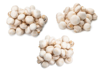 Champignon mushroom isolated on white background.