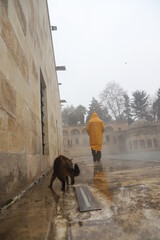 Fototapete bei efototapeten.de bestellen   